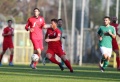 Treviso-Liventina Gorghense (23 novembre 2014) 26 Vianello.jpg
