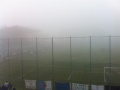 Treviso-Loreggia (12 gennaio 2014) nebbia 01.jpg